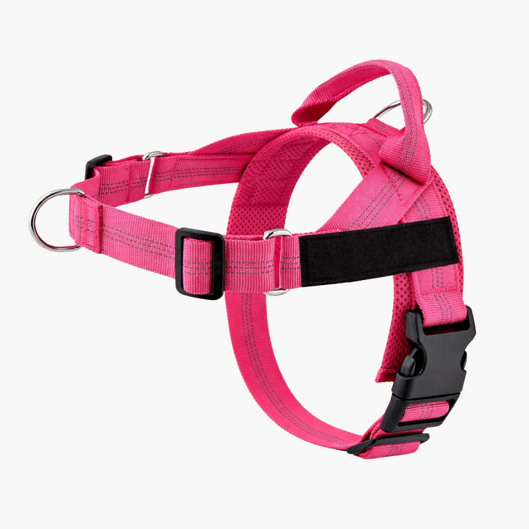 Harnais anti-traction Medalya pour chien