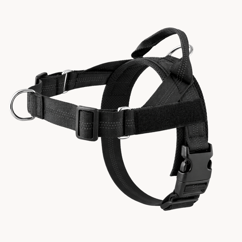 Harnais anti-traction Medalya pour chien