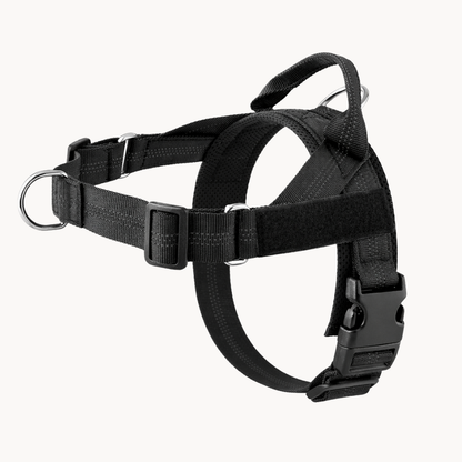 Harnais anti-traction Medalya pour chien