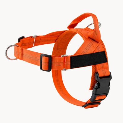 Harnais anti-traction Medalya pour chien