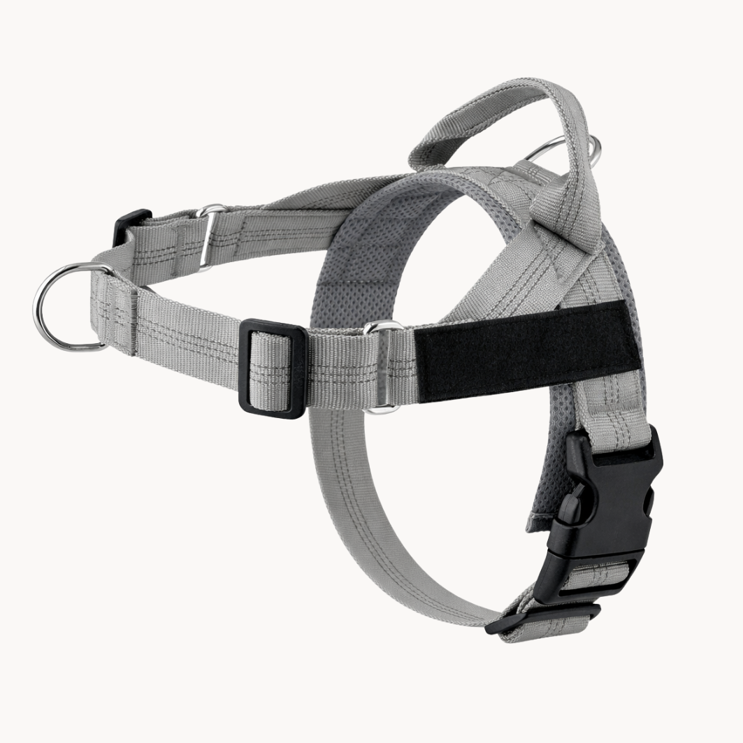 Harnais anti-traction Medalya pour chien