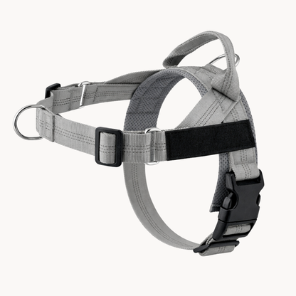 Harnais anti-traction Medalya pour chien