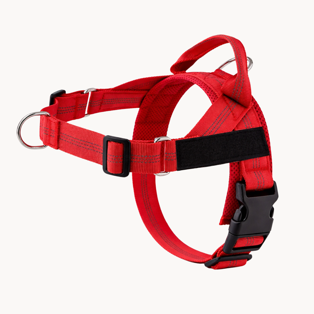 Harnais anti-traction Medalya pour chien