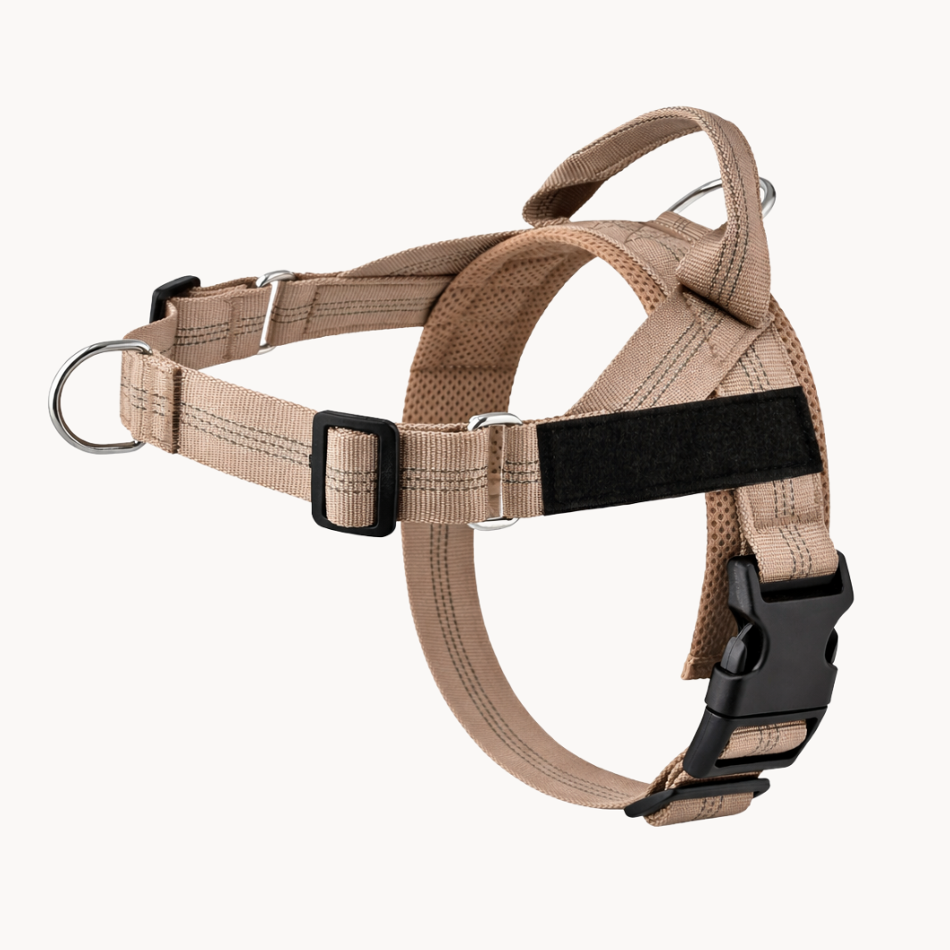 Harnais anti-traction Medalya pour chien