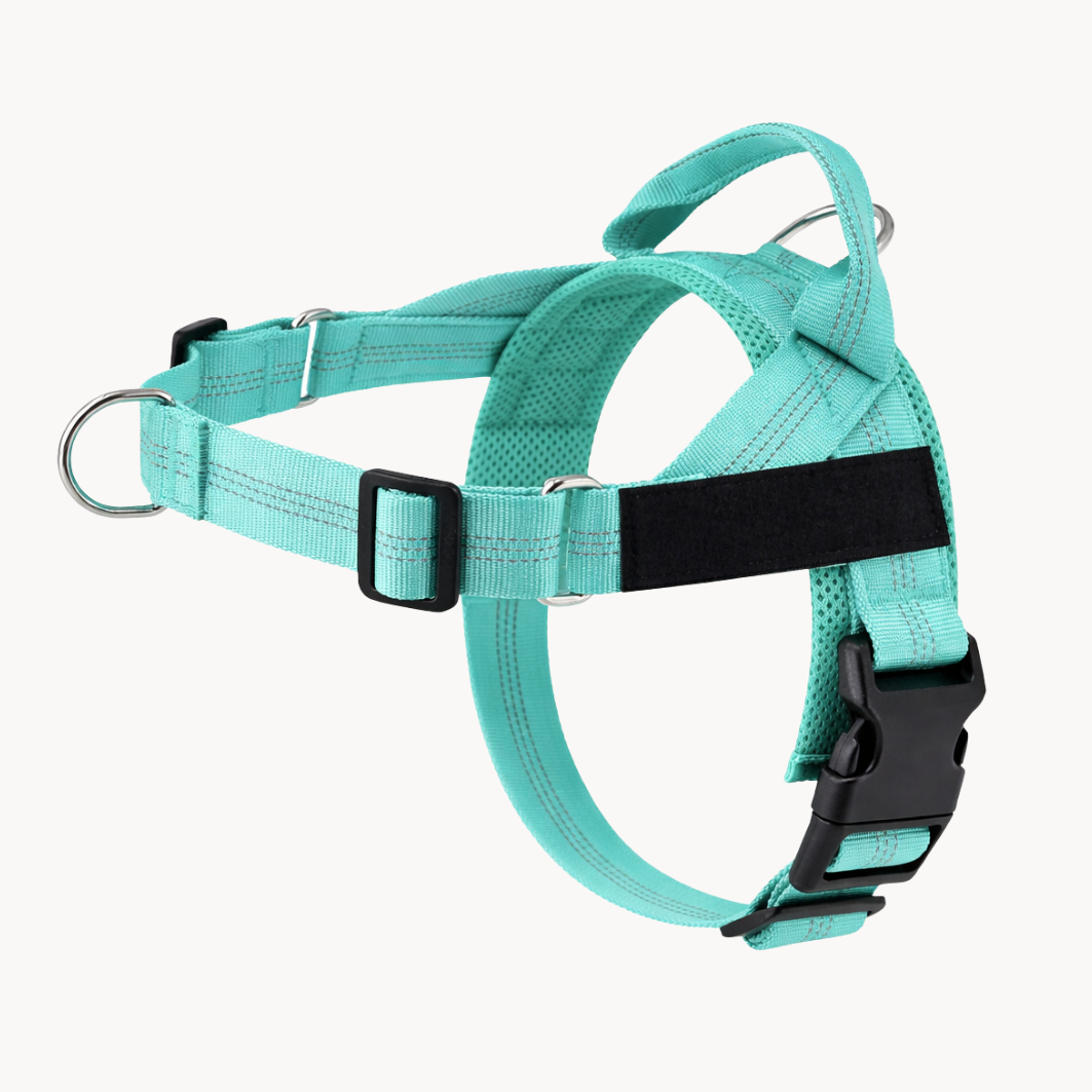 Harnais anti-traction Medalya pour chien