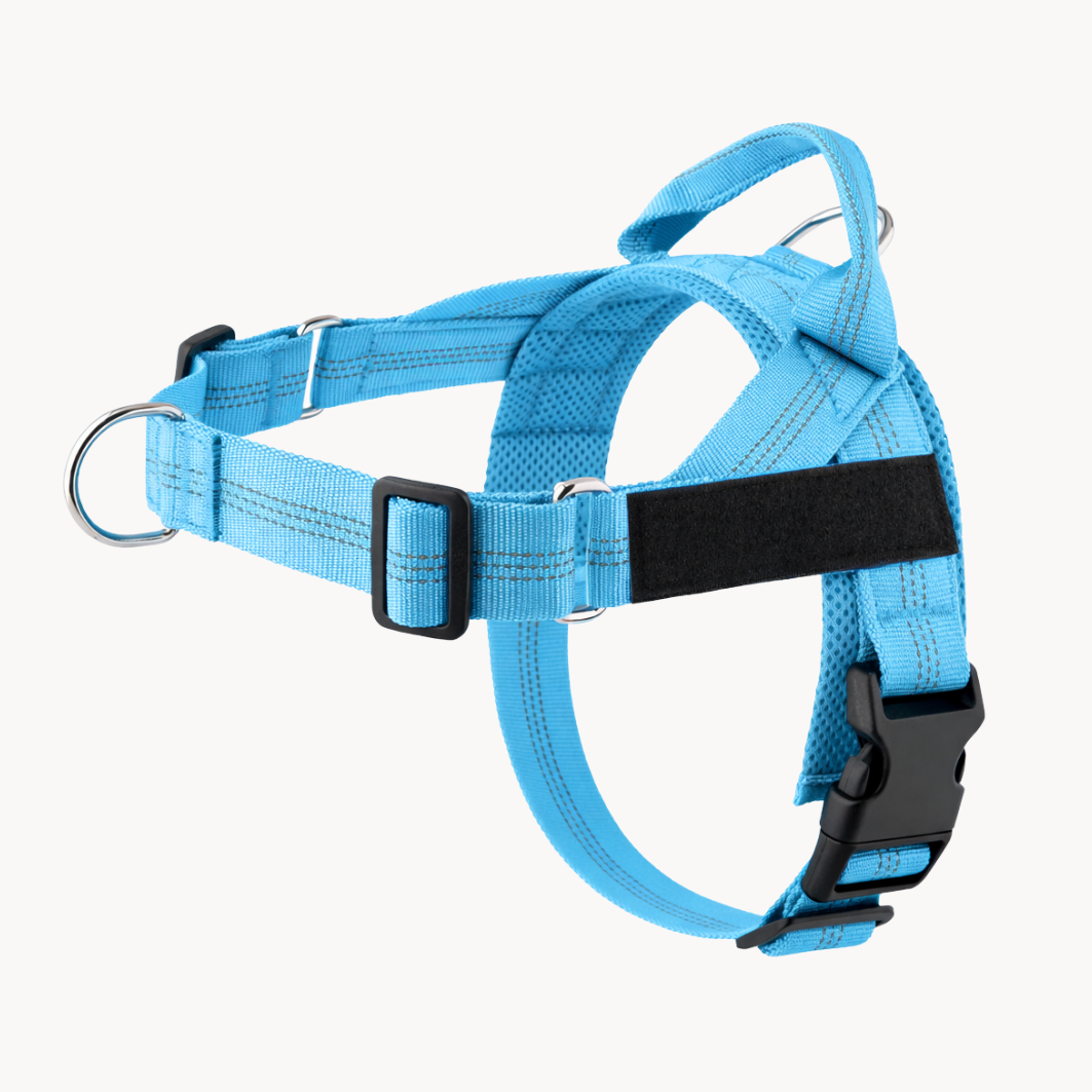 Harnais anti-traction Medalya pour chien