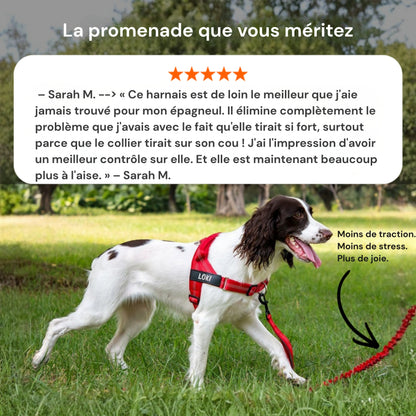 Harnais anti-traction Medalya pour chien