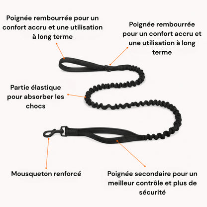 Harnais anti-traction Medalya pour chien