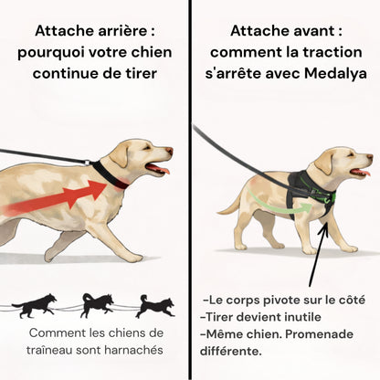 Harnais anti-traction Medalya pour chien