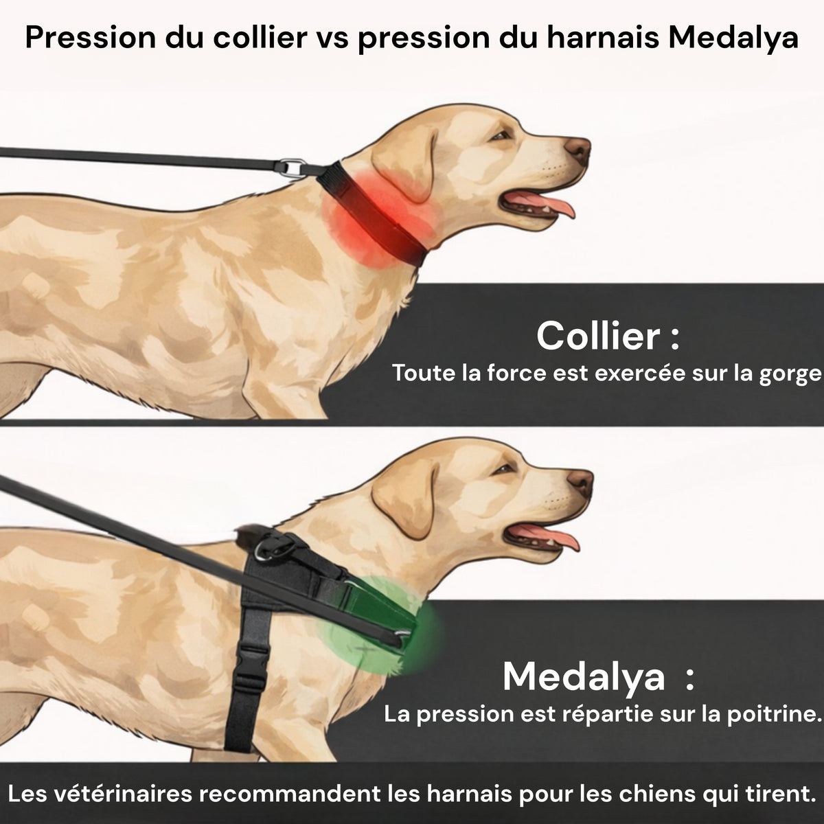 Harnais anti-traction Medalya pour chien