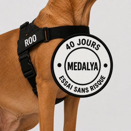 Harnais anti-traction Medalya pour chien