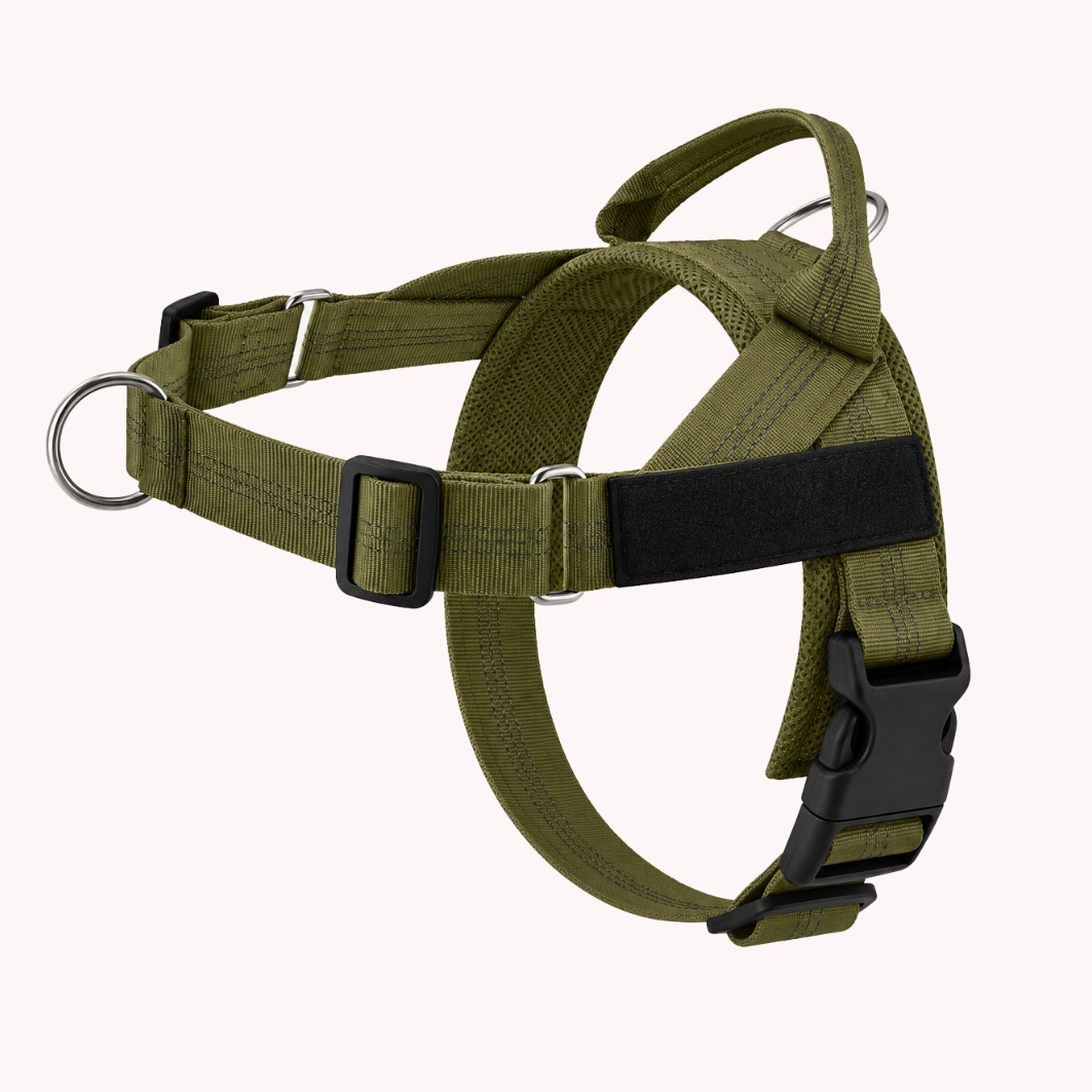 Harnais anti-traction Medalya pour chien