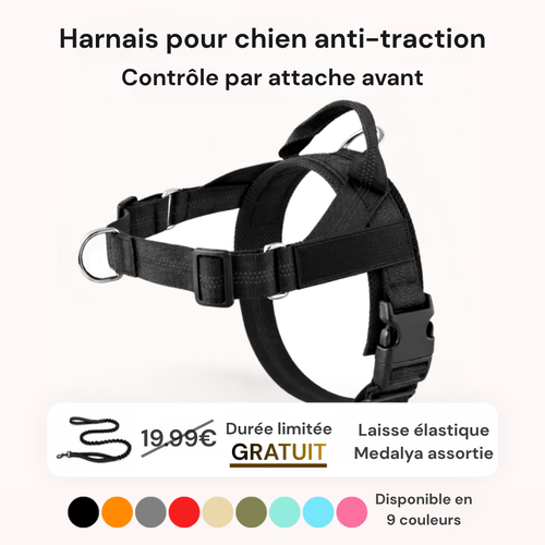 Harnais anti-traction Medalya pour chien