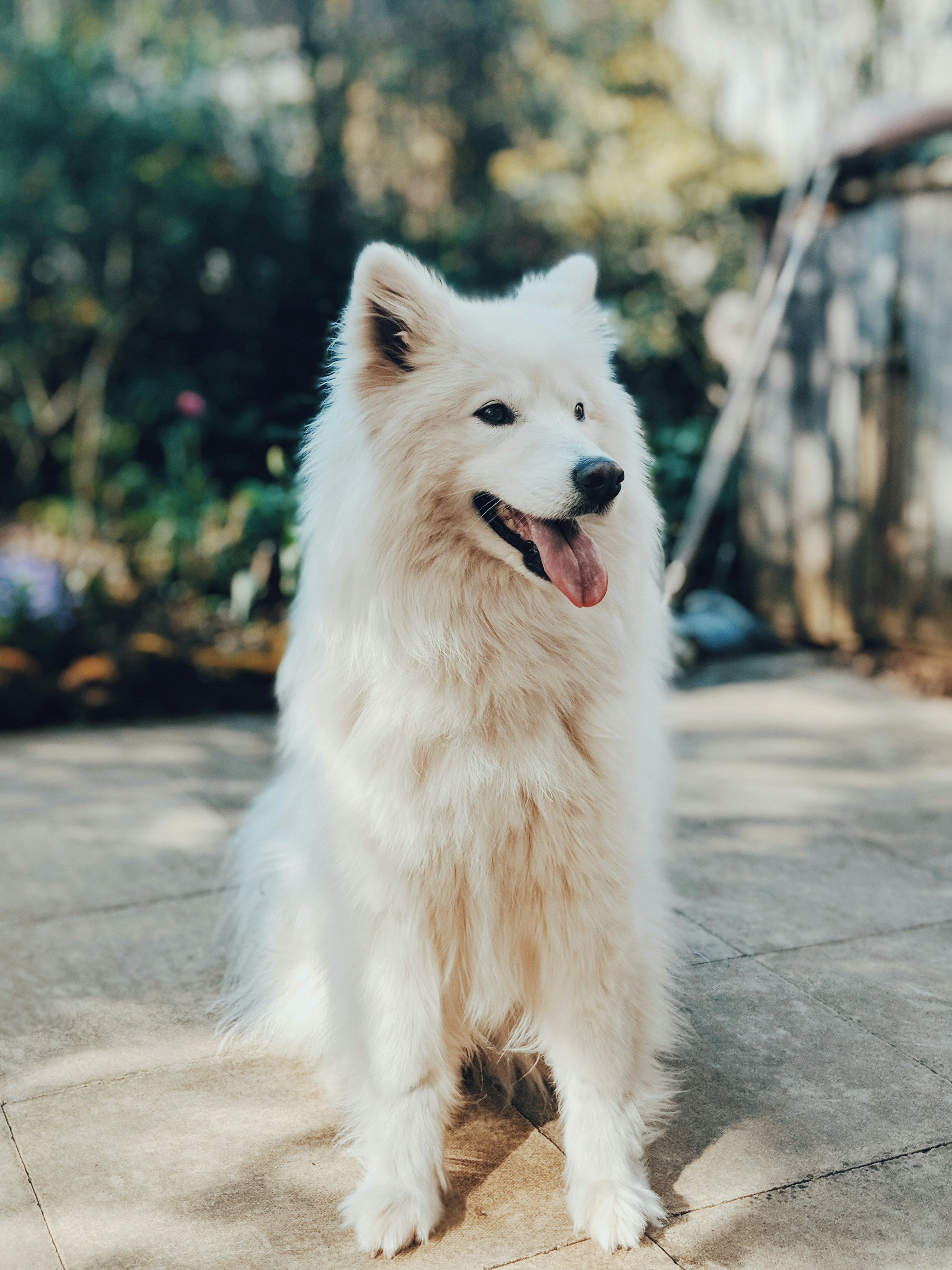 files/lui-peng-ybHtKz5He9Y-unsplash.jpg